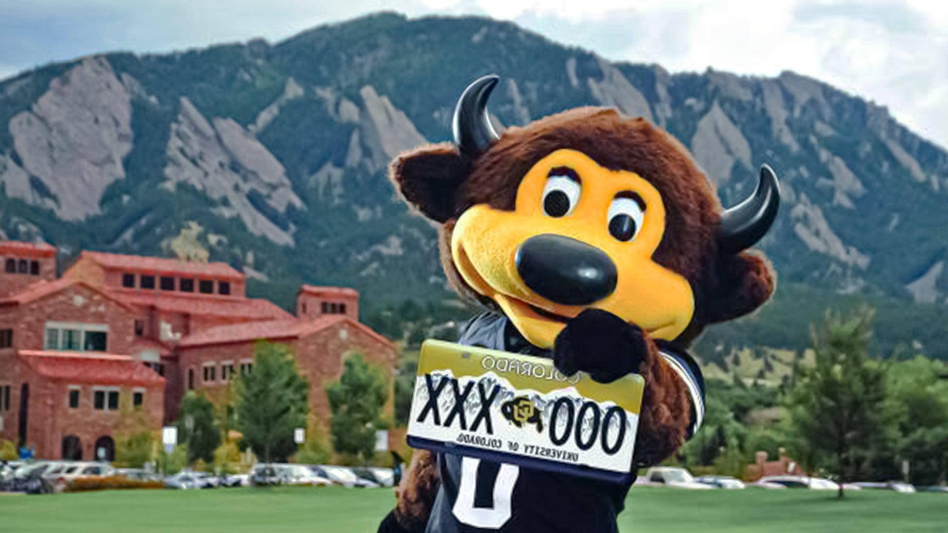 CU Boulder mascot Chip holding up a University of Colorado license plate 