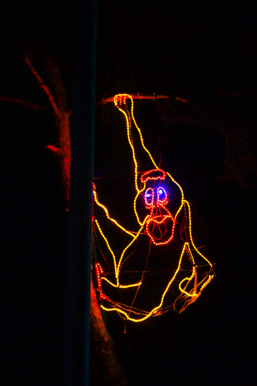 Zoo Lights orangutan