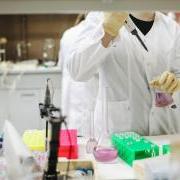 people working in science laboratory