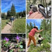 Scenes from the CU Mountain Research Station