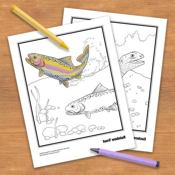 coloring book pages