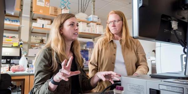 grad student and professor working in a lab