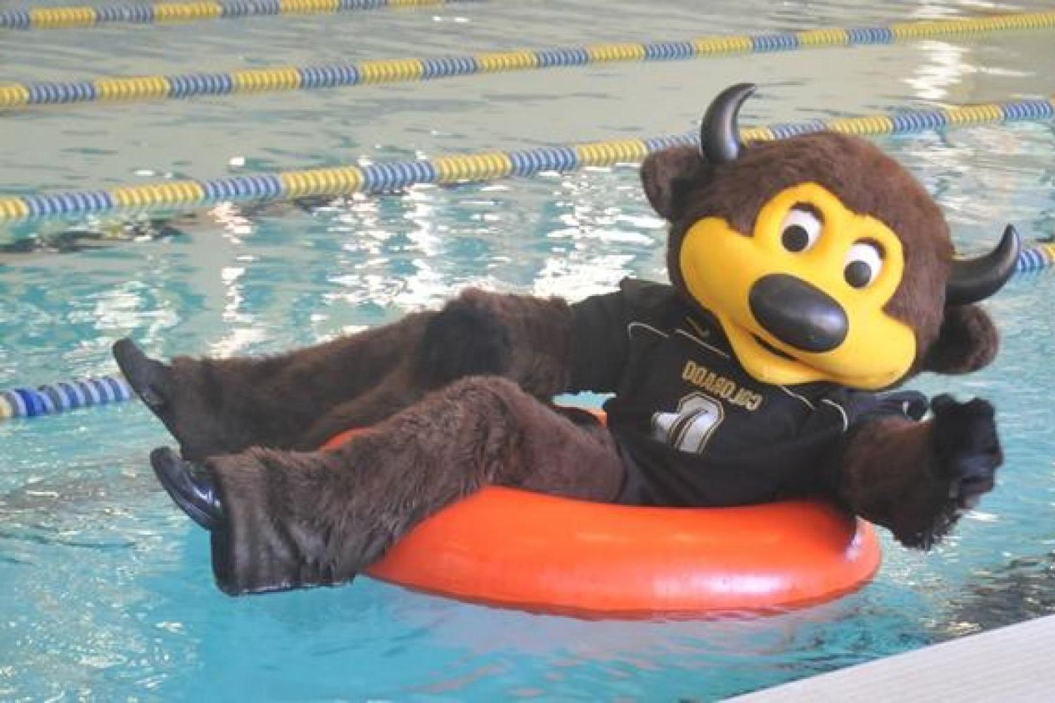 Chip has won best mascot in the nation twice