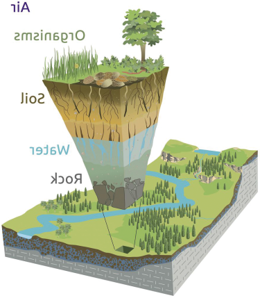  air, organisms, 土壤, 水, rock