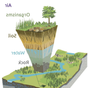 西方水图，从上到下:空气，生物，土壤，水，岩石