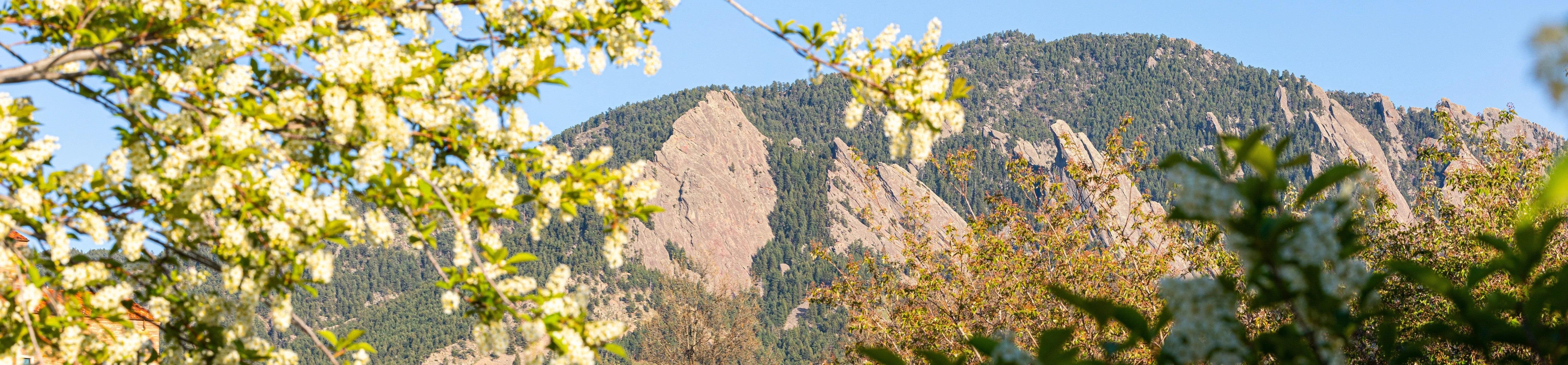 Flatirons