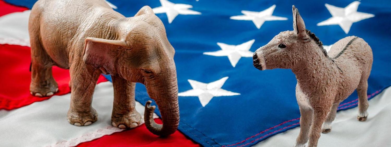 Photo of a donkey and elephant figurine on top of an American flag