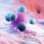 leukocytes attacking a cancer cell