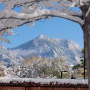 一棵白雪皑皑的树衬托出一座山的背景