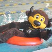  Chip the buffalo mascot floating in an inner tube in a pool