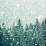 Tree tops and snow through a frosted window